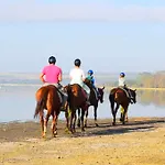 Lake Elmenteita Serena Camp 