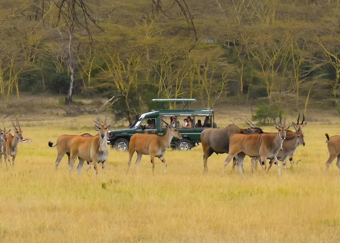 Lake Elmenteita Serena Camp