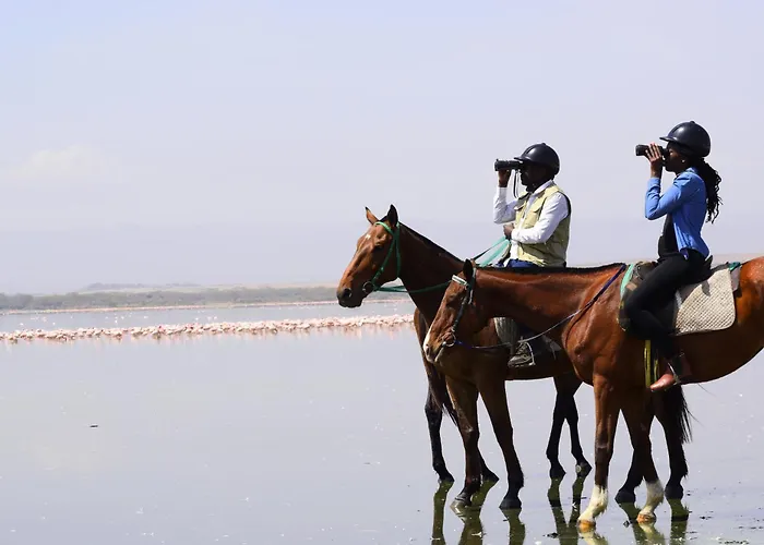 Lake Elmenteita Serena Camp