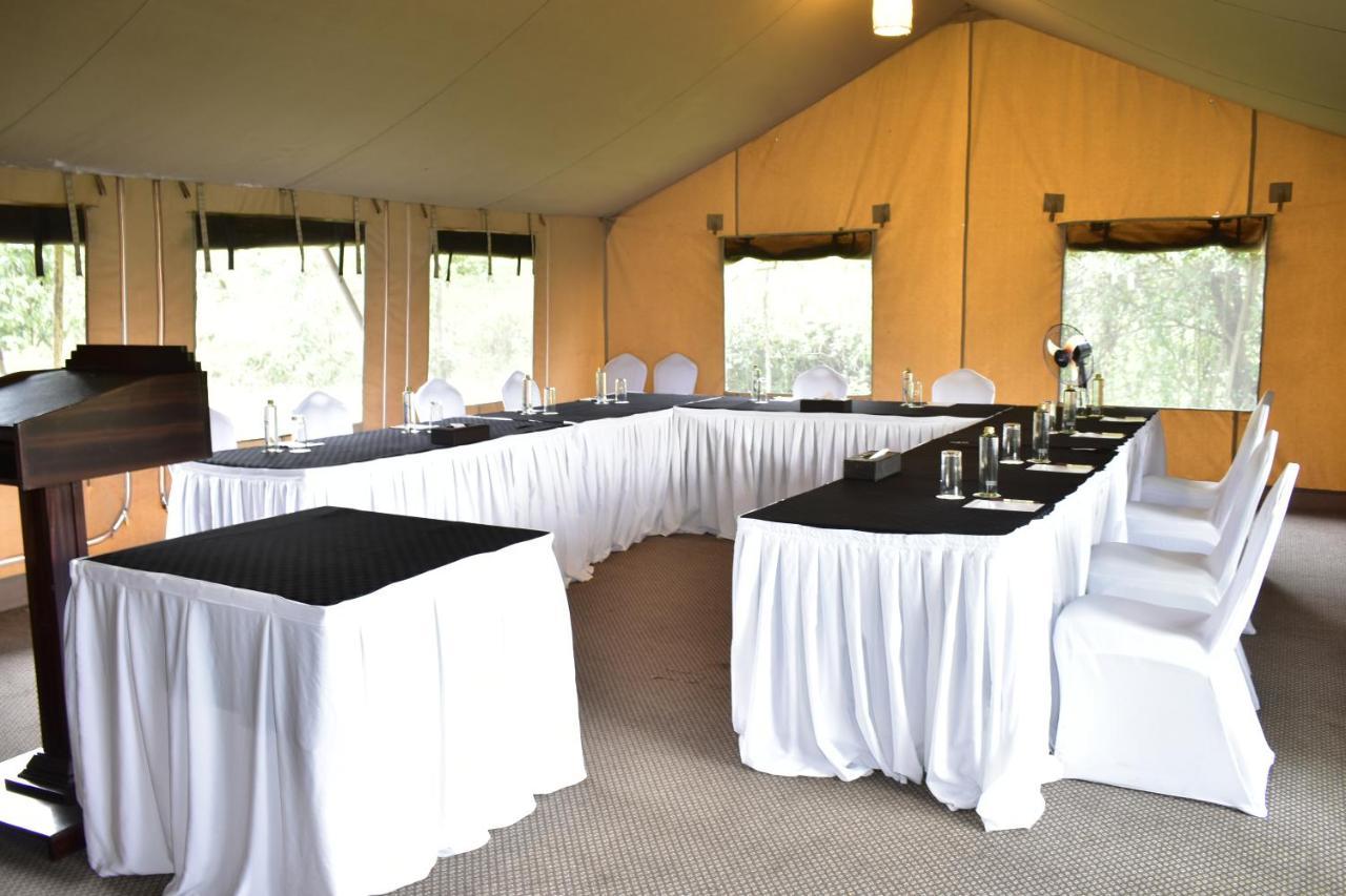 Serena Camp