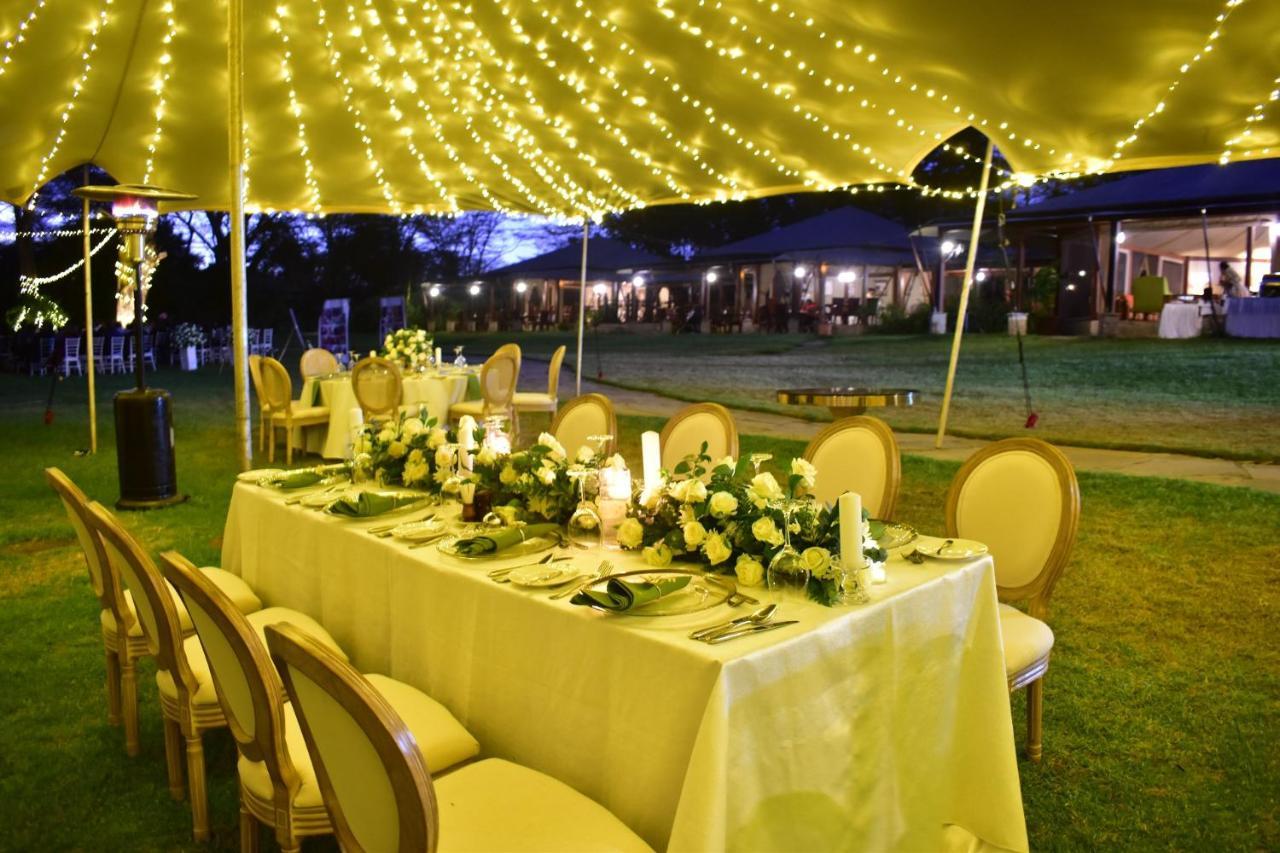 Serena Camp 5*