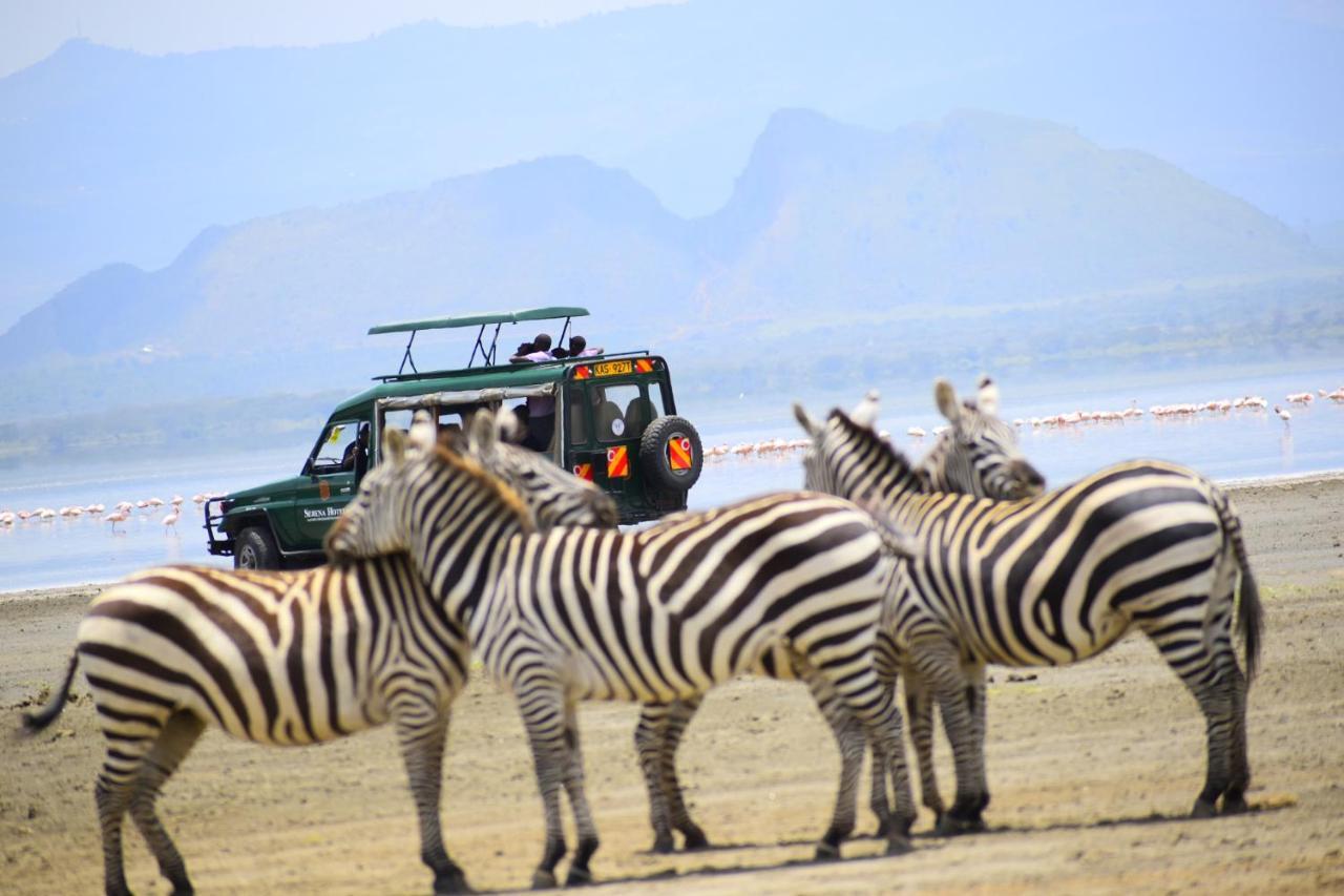 Serena Camp Luxury tent 5*