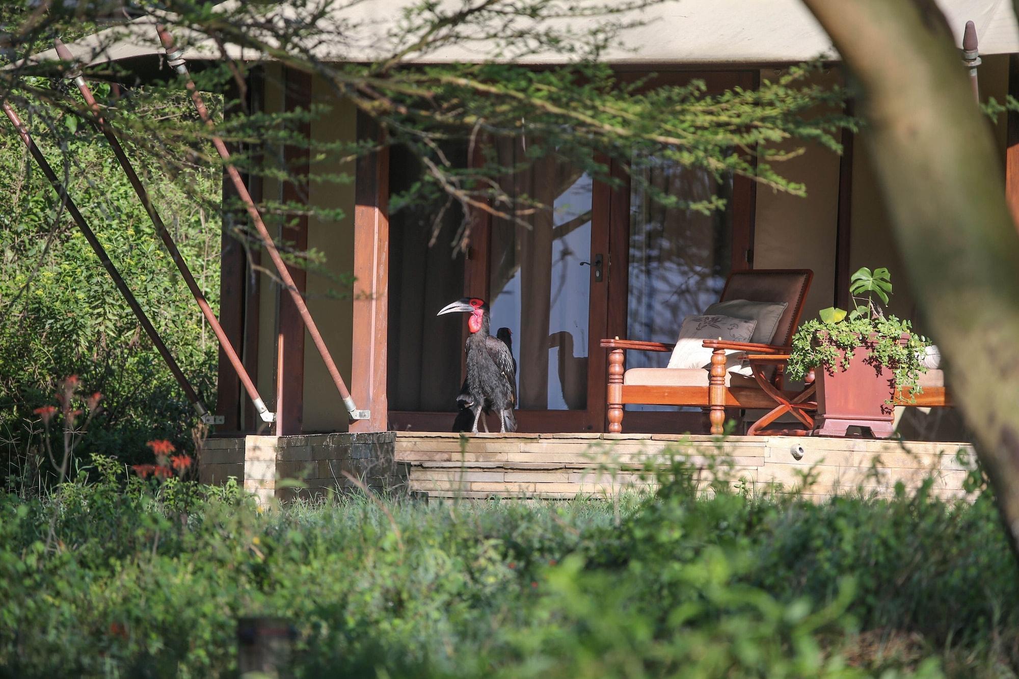Serena Camp Elmenteita