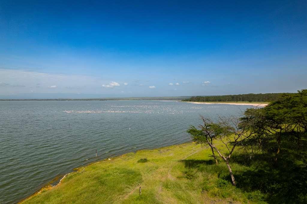 Serena Camp 5* Elmenteita