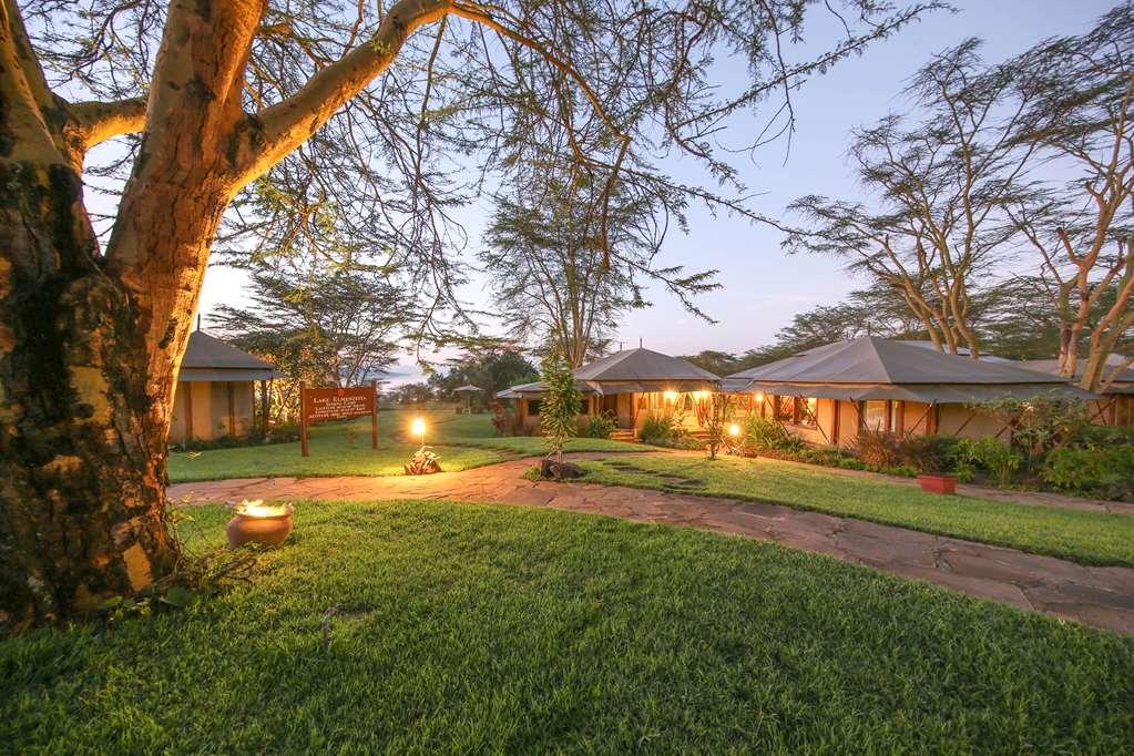 Serena Camp