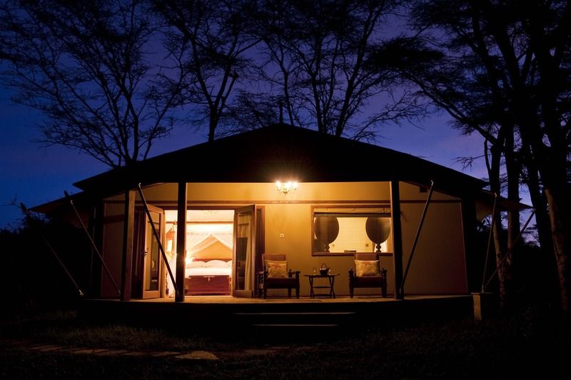 Serena Camp