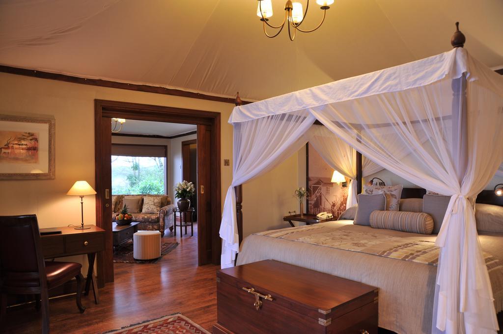 Serena Camp